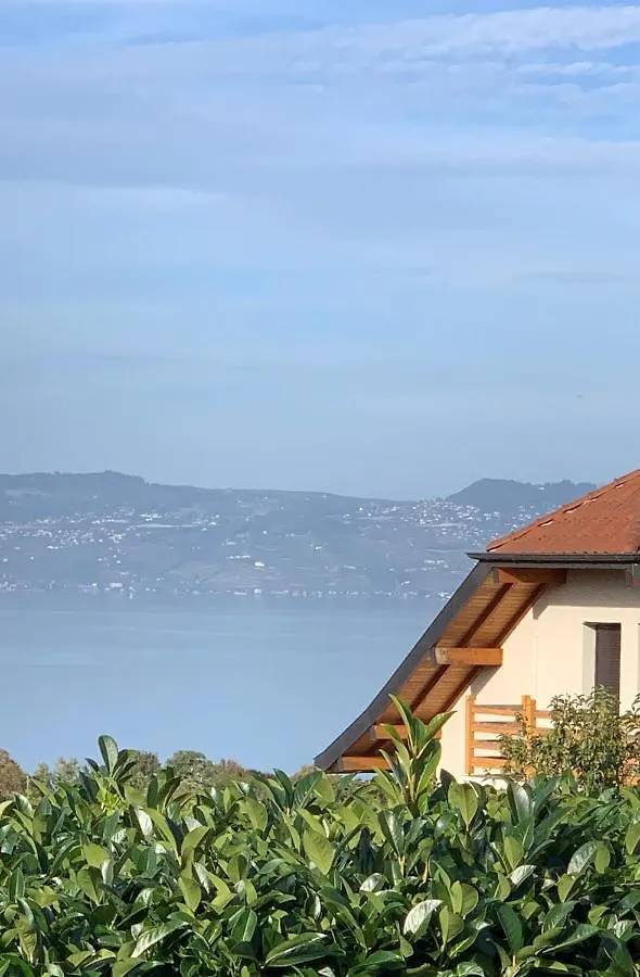 Homestay Chambre Maxilly Apartment France